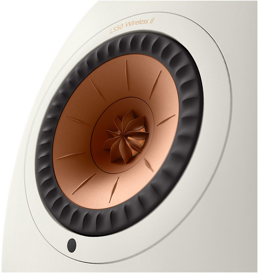 IMG45733_89224.jpg