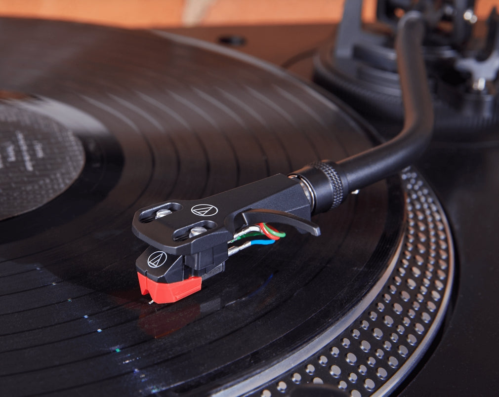 IMG57300_161184.jpg