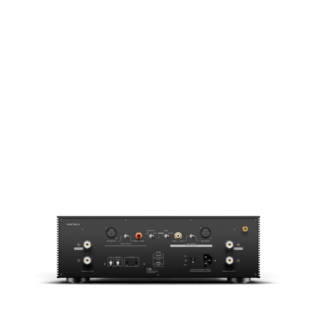 Eversolo AMP-F8 in Schwarz Rückansicht