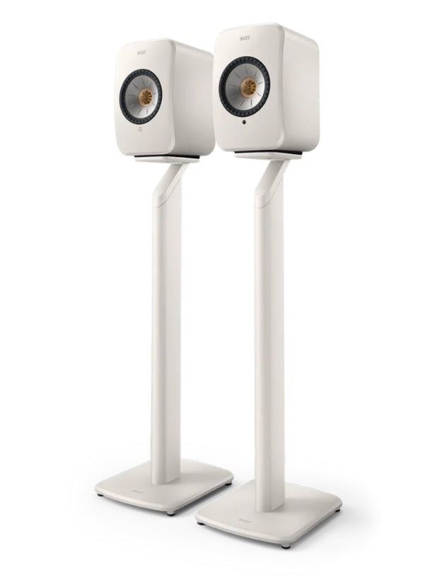 IMG50151_158902.jpg