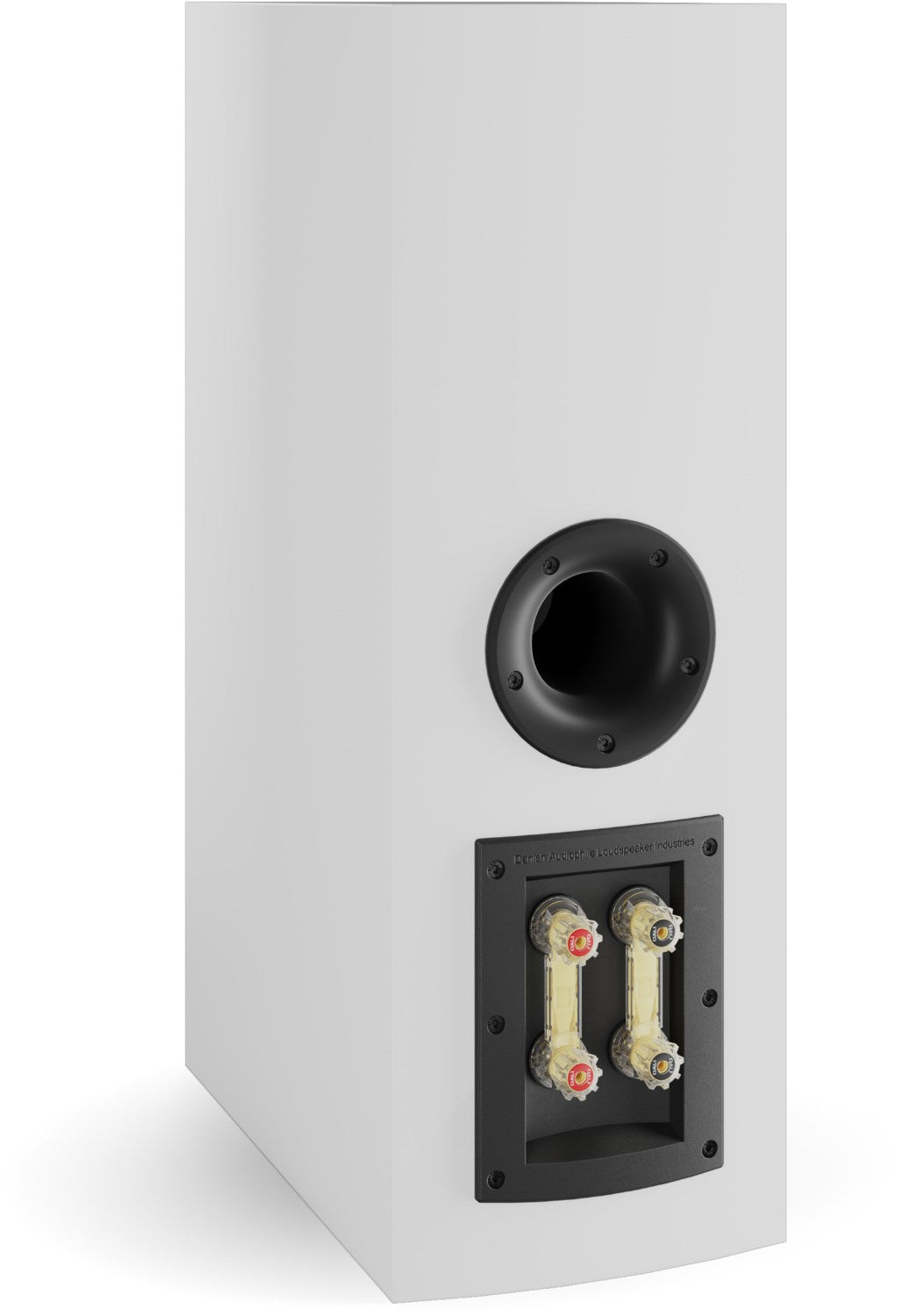 IMG50985_122605.jpg