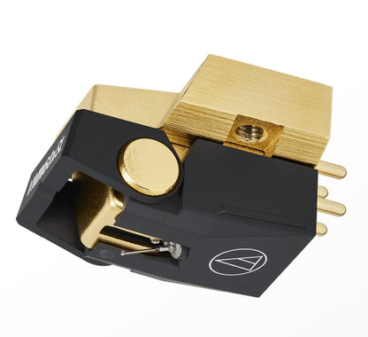 IMG55526_152075.jpg