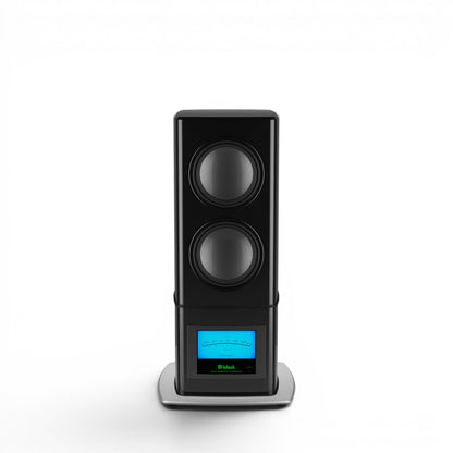 McIntosh PS1K Subwoofer in Schwarz/Black Frontansicht