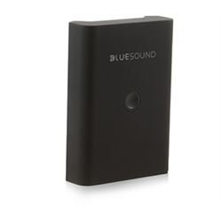 Bluesound BP100 Battery Pack für Pulse Flex